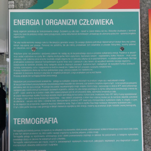 Plansza edukacyjna Energia i organizm człowieka – uczniowie poznają, jak działa metabolizm i czym jest termografia.