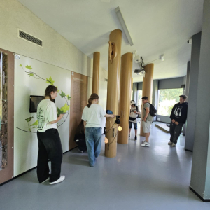 W ekosystemie lasu – uczniowie poznają warstwową budowę drzew i życie toczące się w koronach oraz pod korą, zagłębiając się w tajemnice leśnej przyrody.
