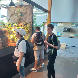Obserwacja zwierząt egzotycznych w terrarium – uczniowie z zaciekawieniem przyglądają się mieszkańcom dużego, oświetlonego terrarium. Wewnątrz ekspozycji widać tropikalną roślinność, korzenie oraz lampy grzewcze, tworzące naturalne środowisko dla gadów lub płazów.
