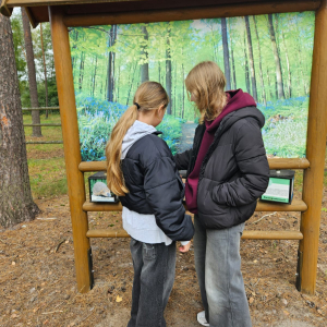 Edukacyjna tablica przyrodnicza – uczennice sprawdzają informacje o ekosystemach leśnych Lasów Janowskich.