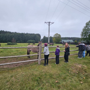 Panorama ostoi konia biłgorajskiego – rozległe pastwiska stanowiące dom dla tego cennego gatunku.